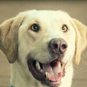 Meet your Posher, Paula